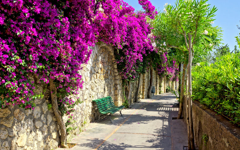 CAPRI, L'ISOLA DEI SOGNI